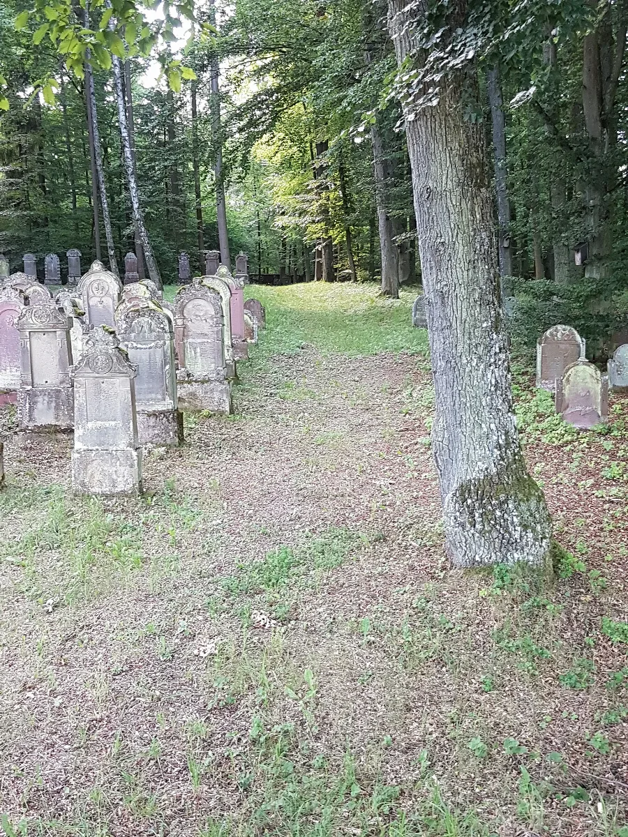 Der Jüdische Friedhof In Wenkheim 24