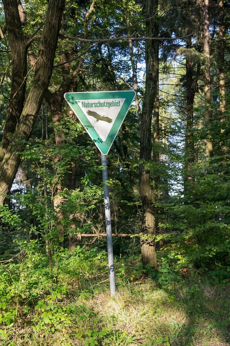 Detmold 2014 08 27 Hohe Warte (1)