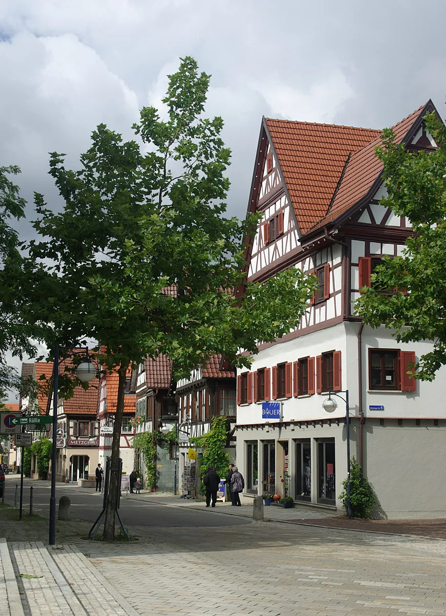 Dettingen 0007