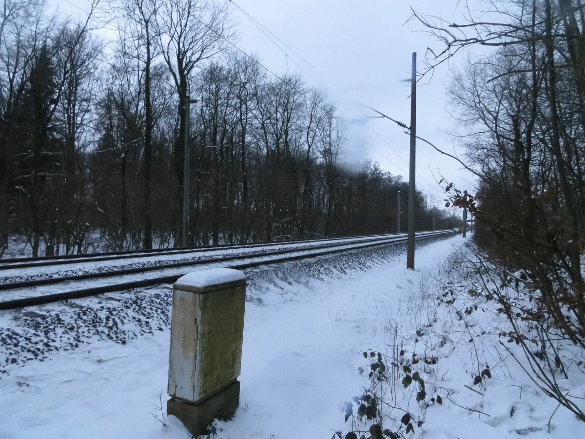 Die Eisenbahnstrecke Nach Dänemark, Begrenzung Der Marienhölzung Beim Wolfsmoor, Flensburg Januar 2013