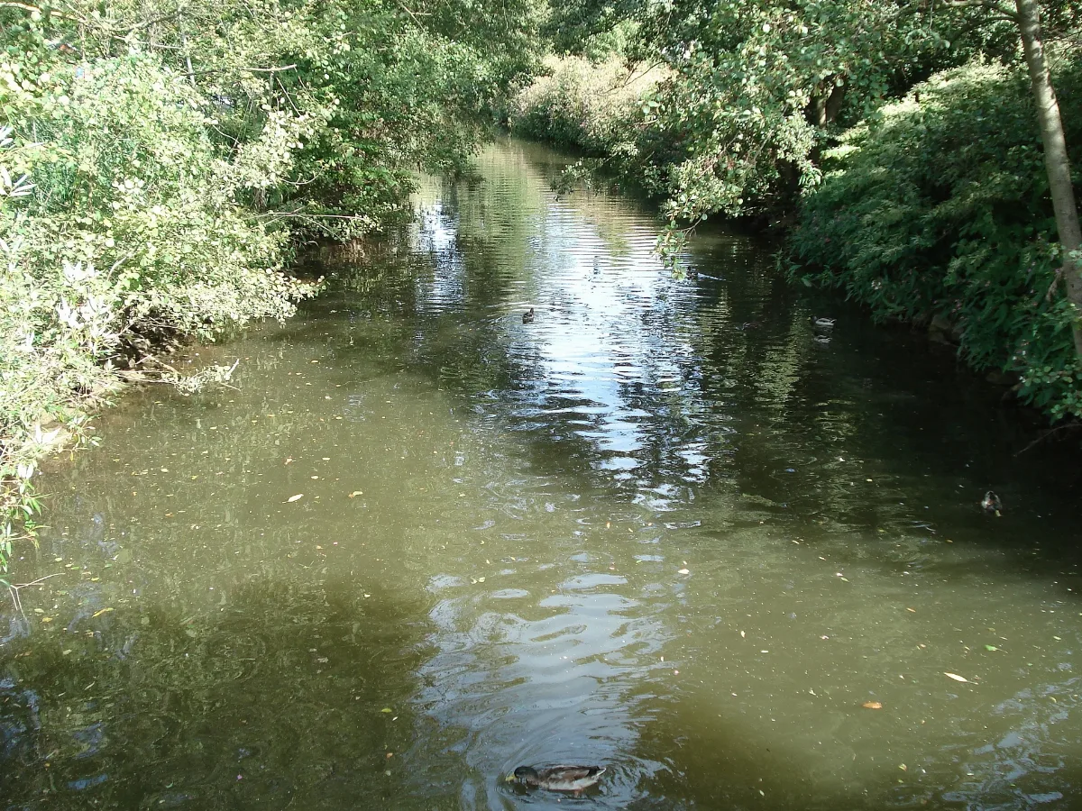 Die Erf In Bürgstadt