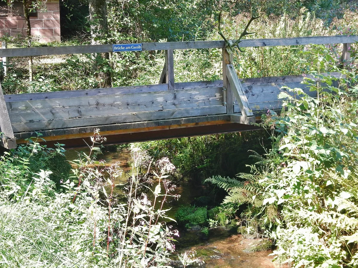 Die Teinach Beim Lautenbachhof Mit Brücke Am Gweih Panoramio
