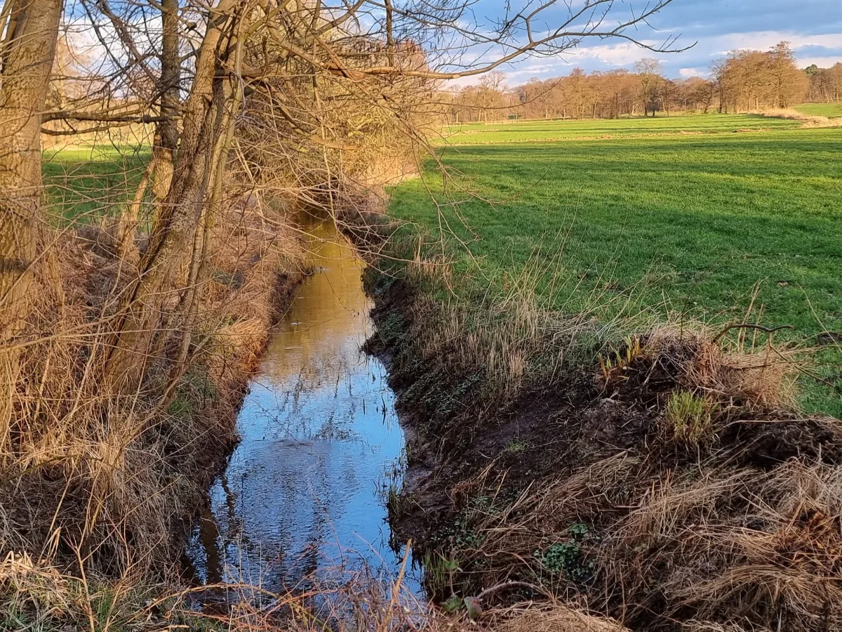 Diekergraben (Walle)