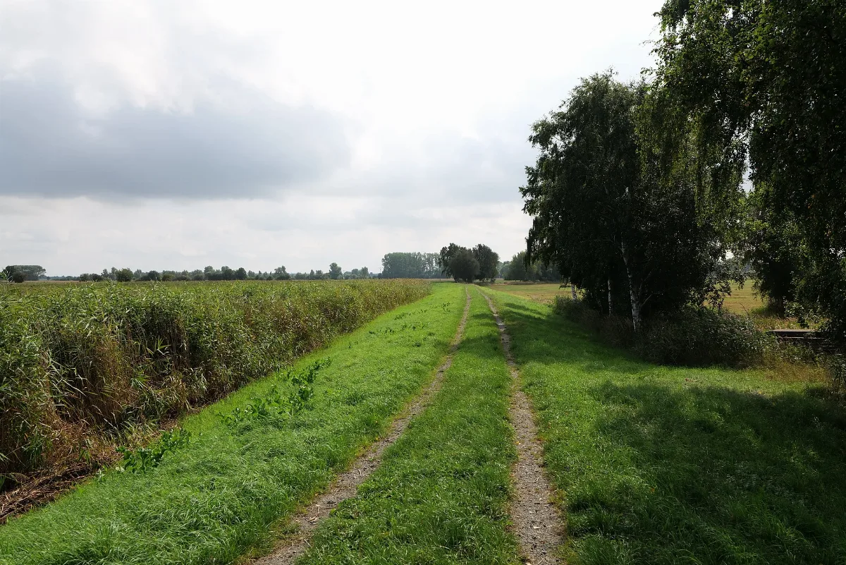 Dike In Mesekenhagen In Sac Greifswalder Bodden 2021 09 11 05