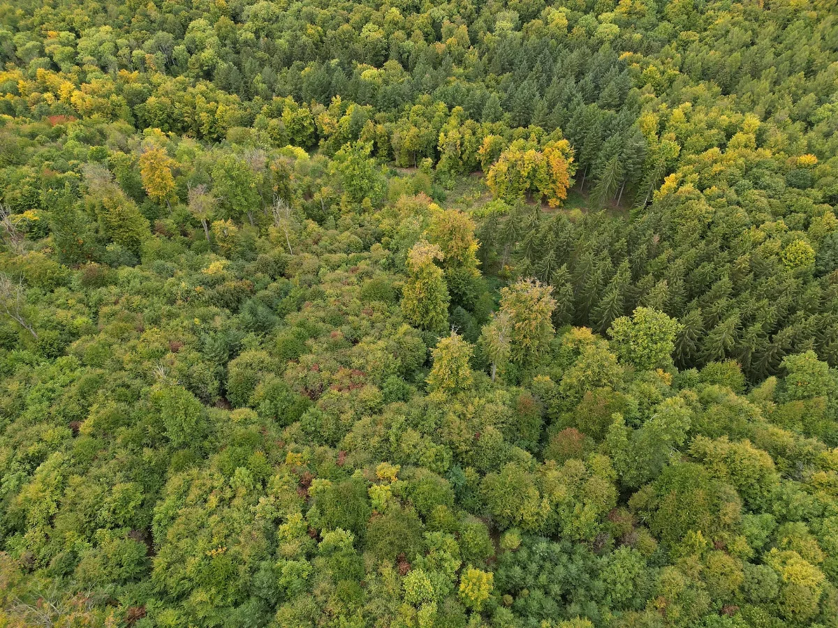 Dji 0135 Ffh