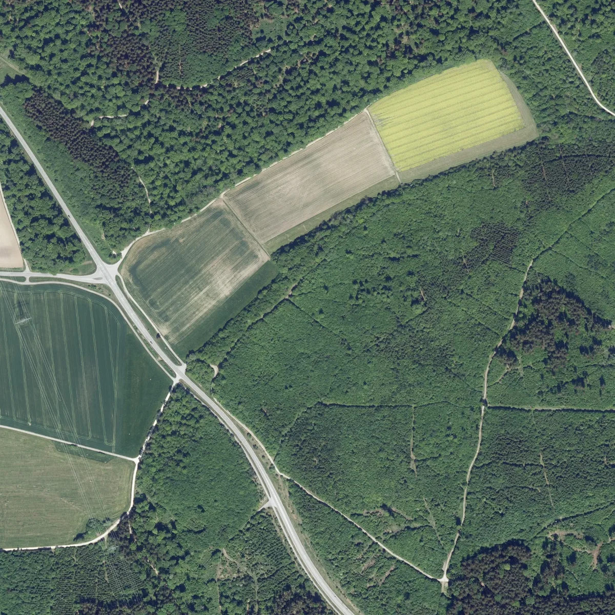 Dop40 Landkreis Dillingen A.d.donau 32592 5391 (Bayerische Vermessungsverwaltung)