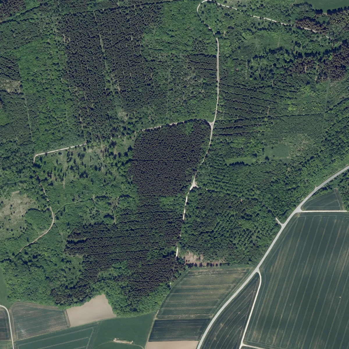 Dop40 Landkreis Donau Ries 32606 5398 (Bayerische Vermessungsverwaltung)