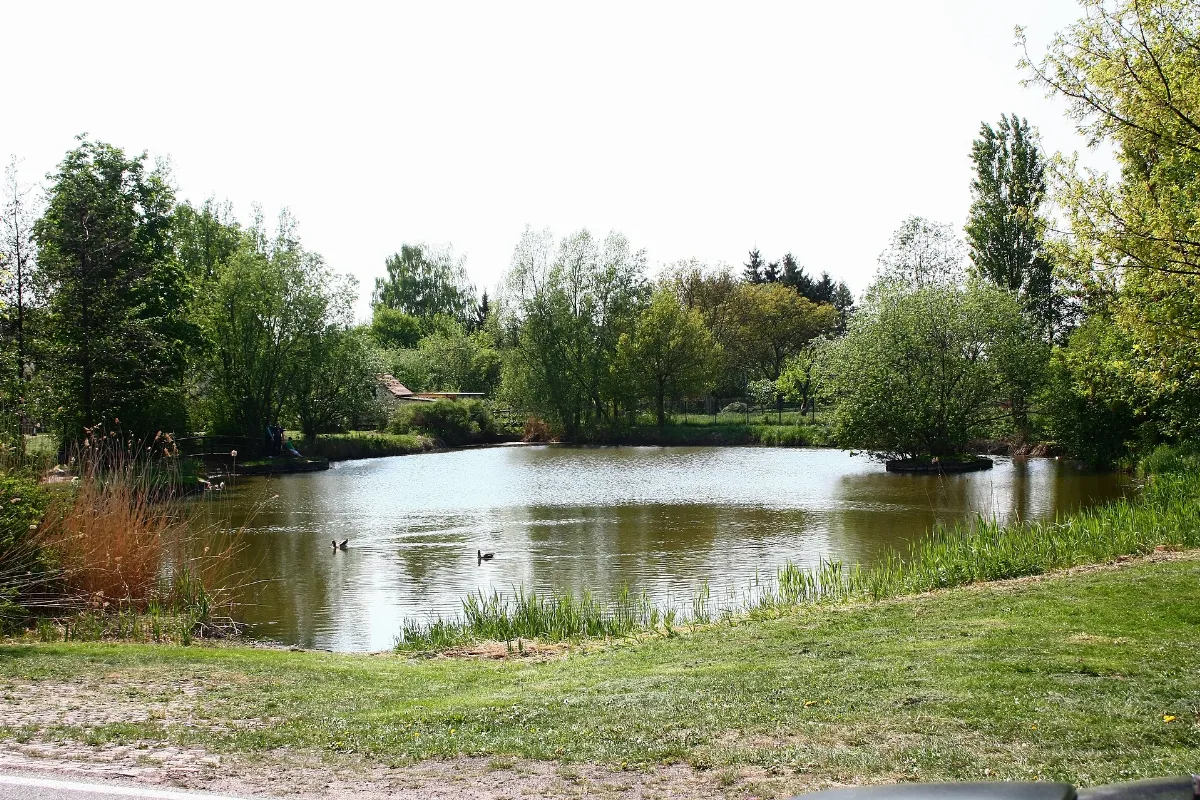 Dorfteich Nauendorf (Saalekreis)