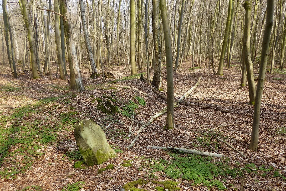 Duderstaedter Knick