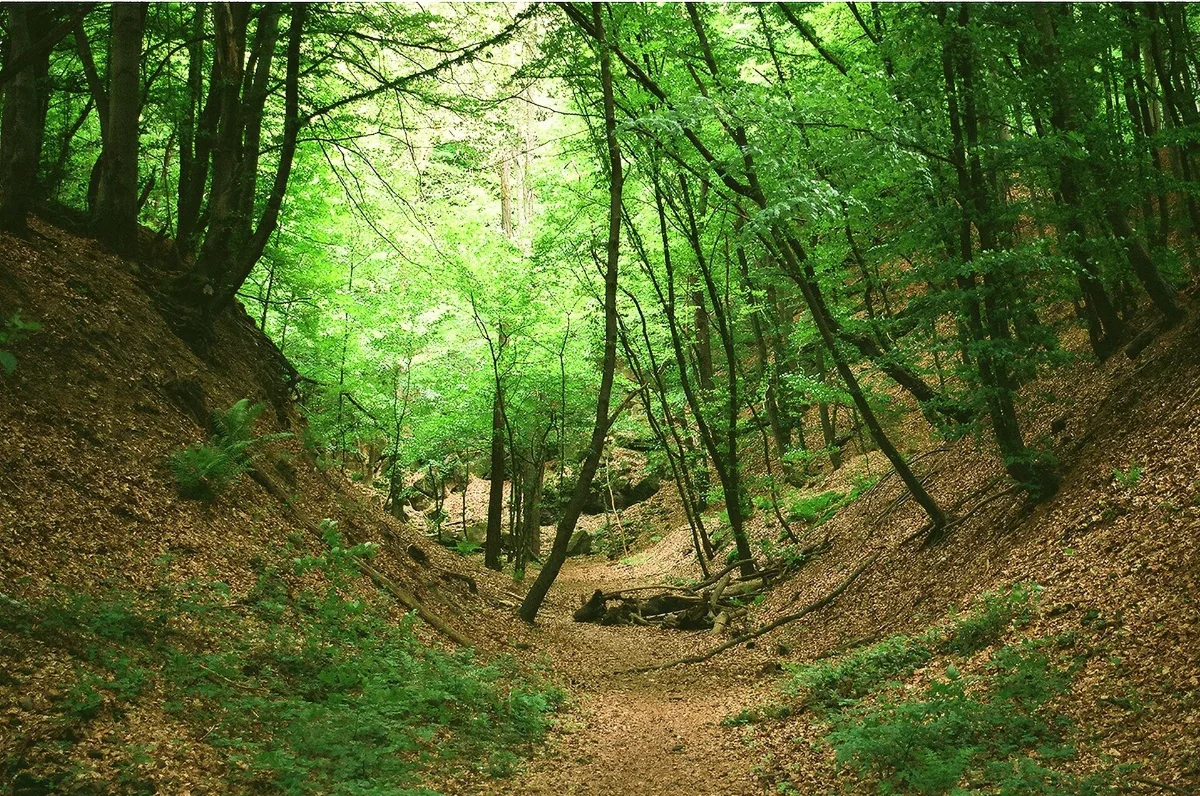 Dudweiler (Saarbrücken), On The Burning Mountain, Image 1