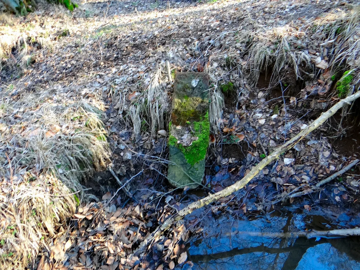 Duebener Heide Saechsischer Forstgrenzstein (308)