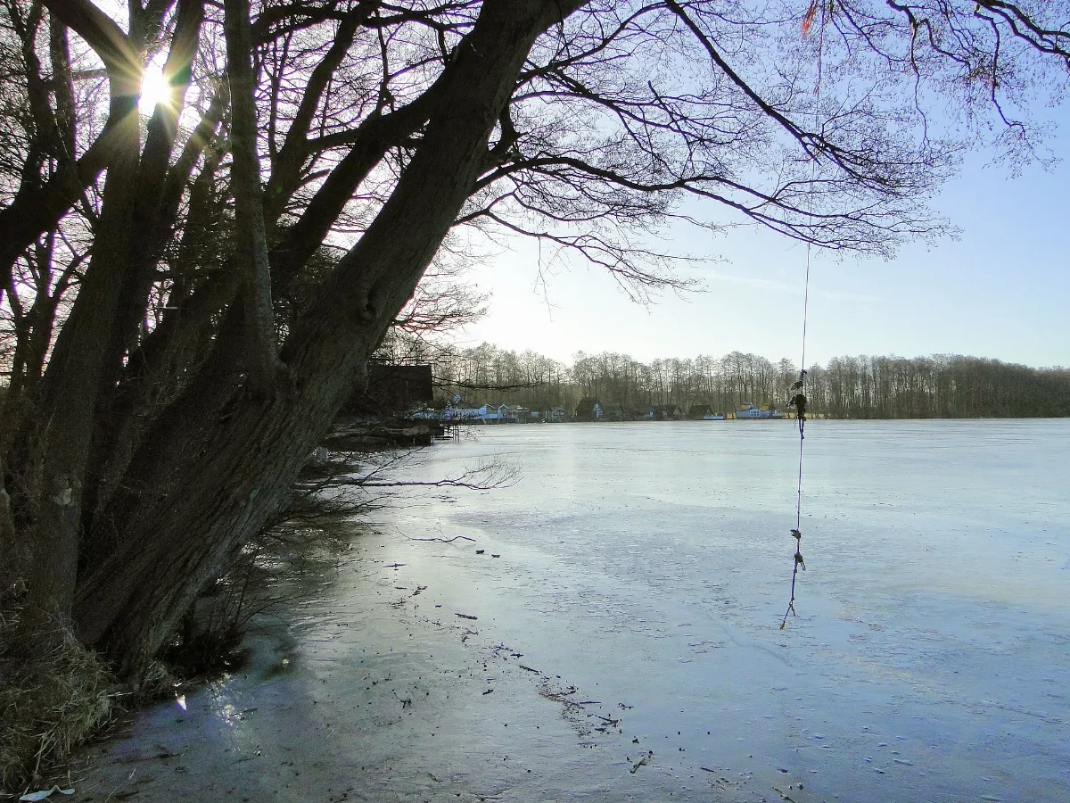 Dümmer Dümmersee 2012 02 15 018