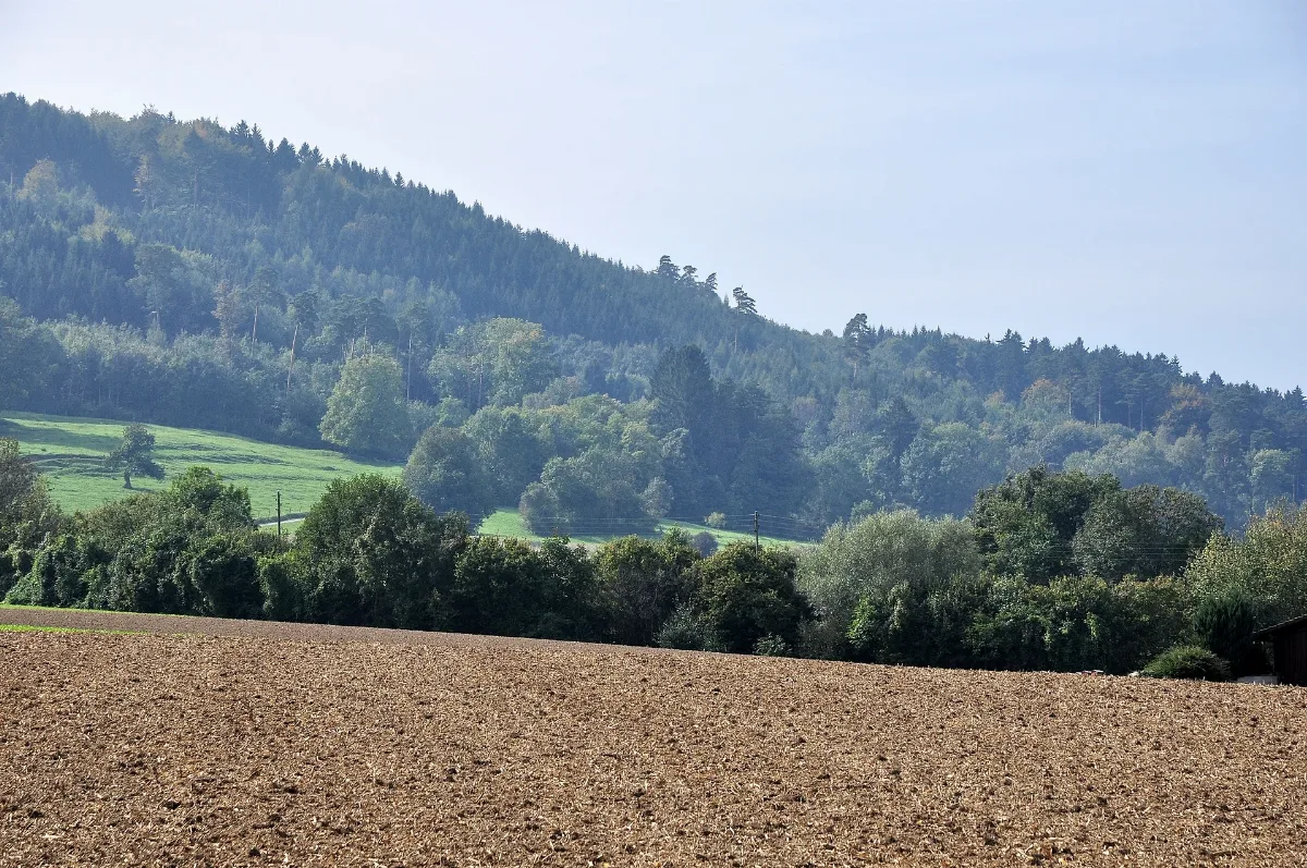 Ebersberg, Teil Der Spätrömischen Rheinbefestigung In Berg Am Irchel 2011 09 25 14 00 18