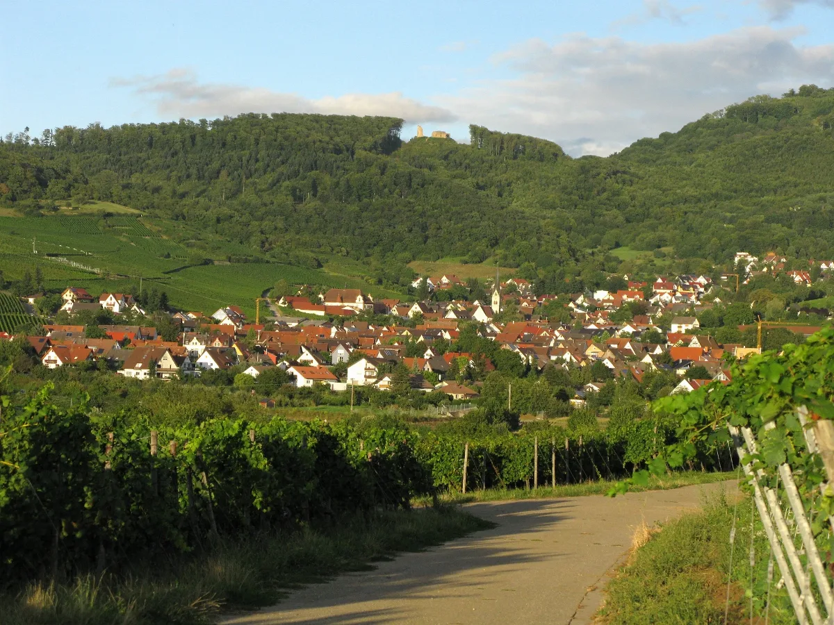 Ebringen Mit Schneeburg