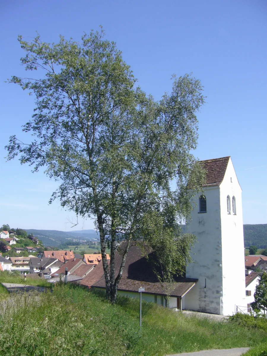 Ecclesiarefremigen 20120525Ii