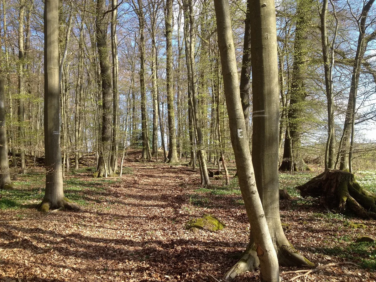 Ederseeweg Netzer Tiergarten (2)