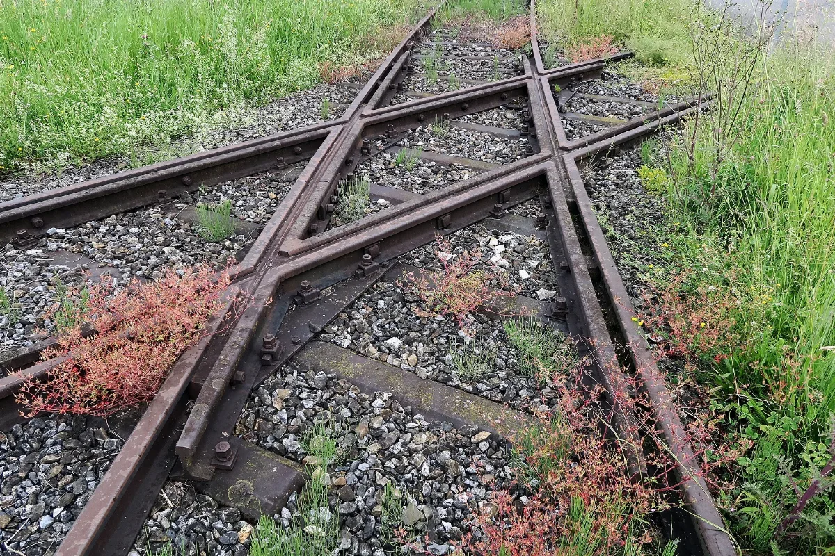 Egnach Standard Gauge Track Crossing (27582385012)
