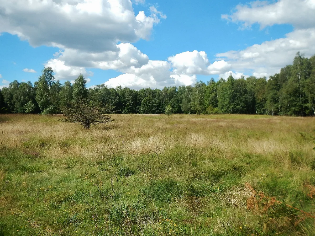 Ehemalige Innerdeutsche Grenze Bei Lübeck Schlutup Panoramio