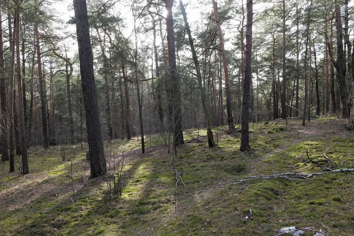 Eichberg Saarmund 2021 02 24 01