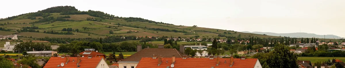 Eichkogel Panorama