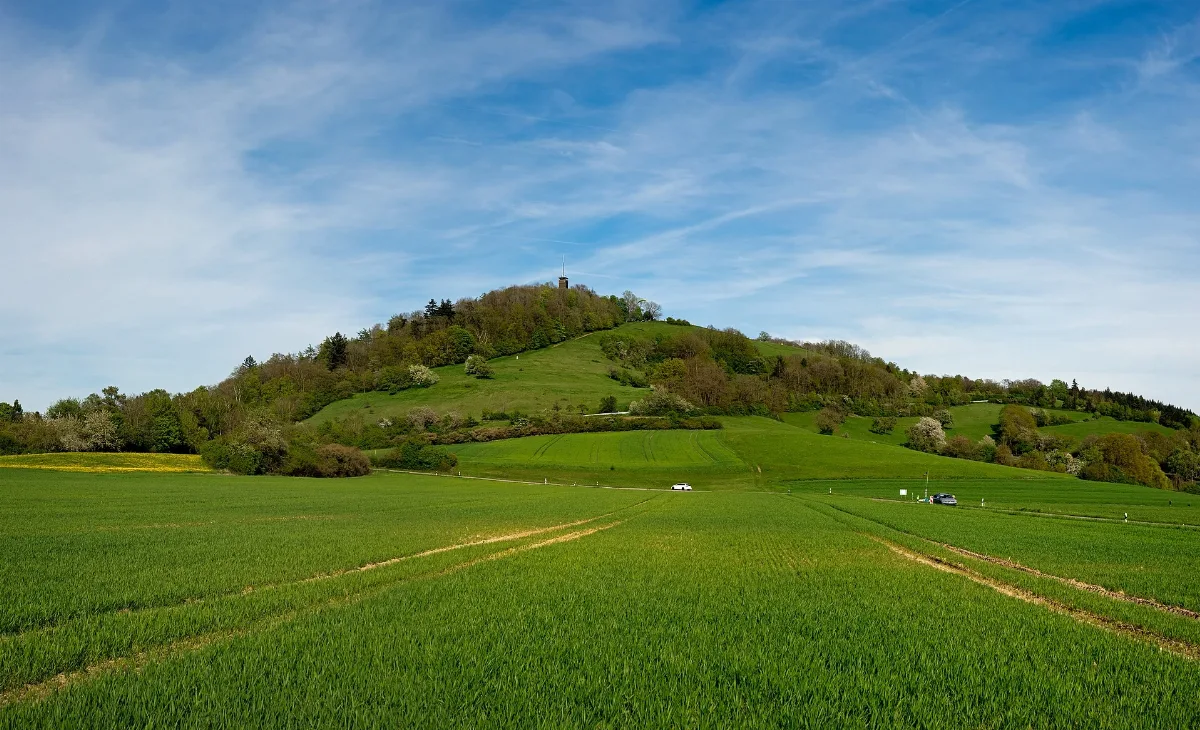 Einkorn Von Westen