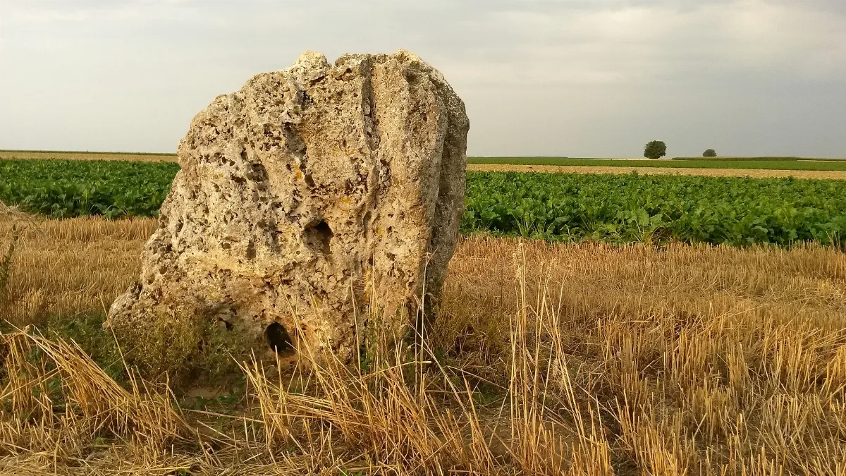 Einselthum, Der "Lange Stein", Westseite