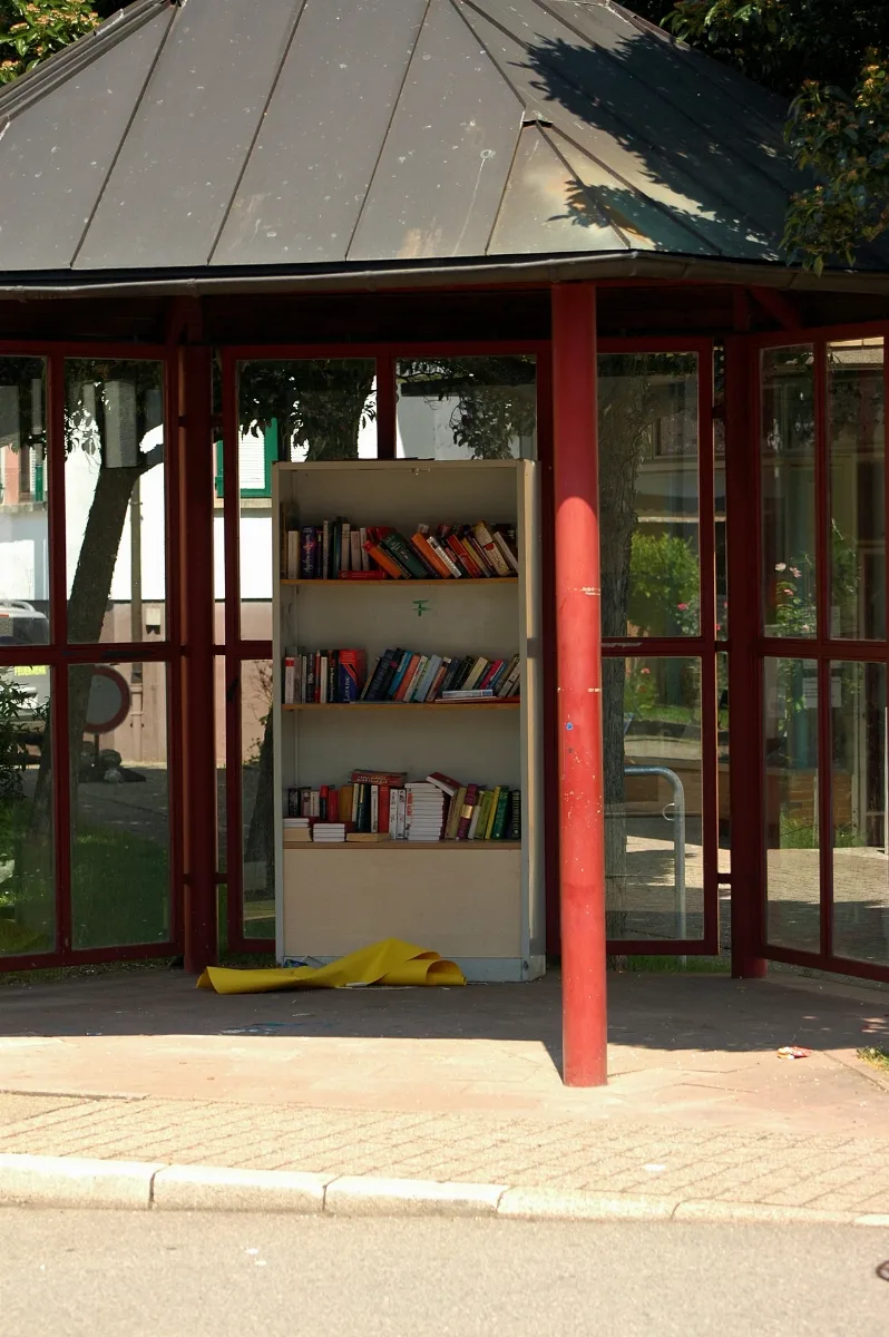 Epfenbach Öffentlicher Bücherschrank 2019 06 05 13 49 51