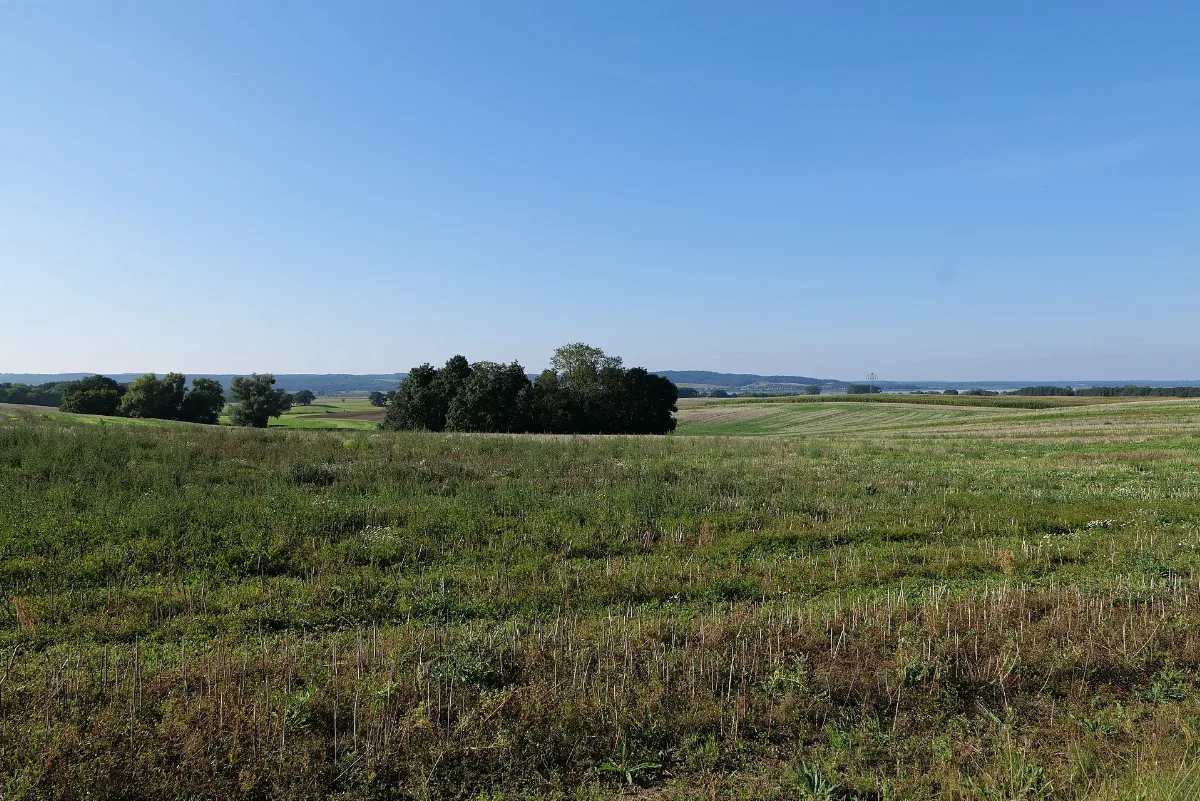 Escarpments Of Kummerower See In Kummerow 2021 09 08 05