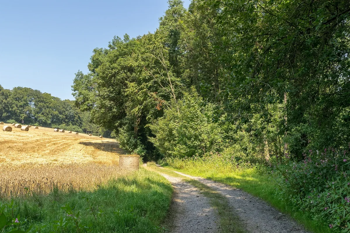 Extertal 2015 08 23 Lip 078 Siekbachtal (11)