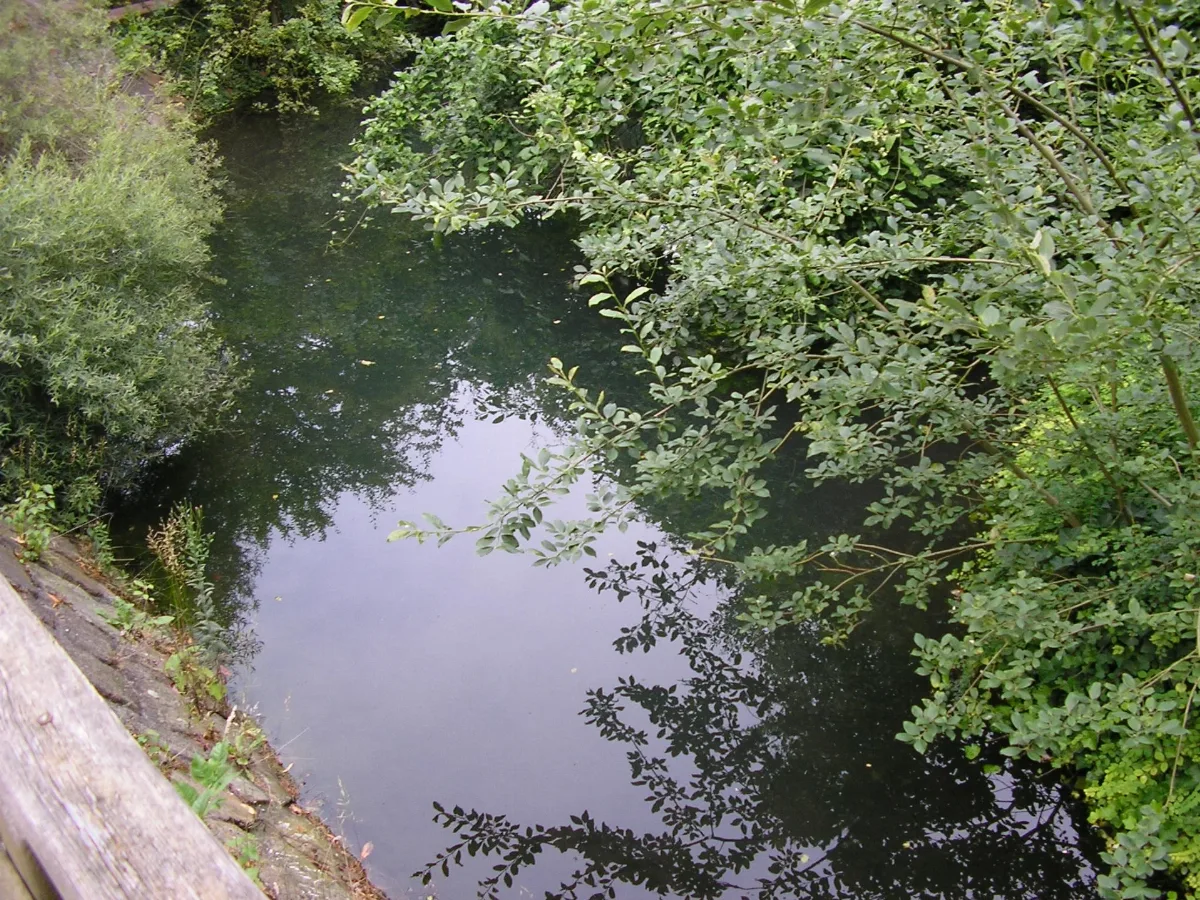 Falk Oberdorf Ronceva Teich