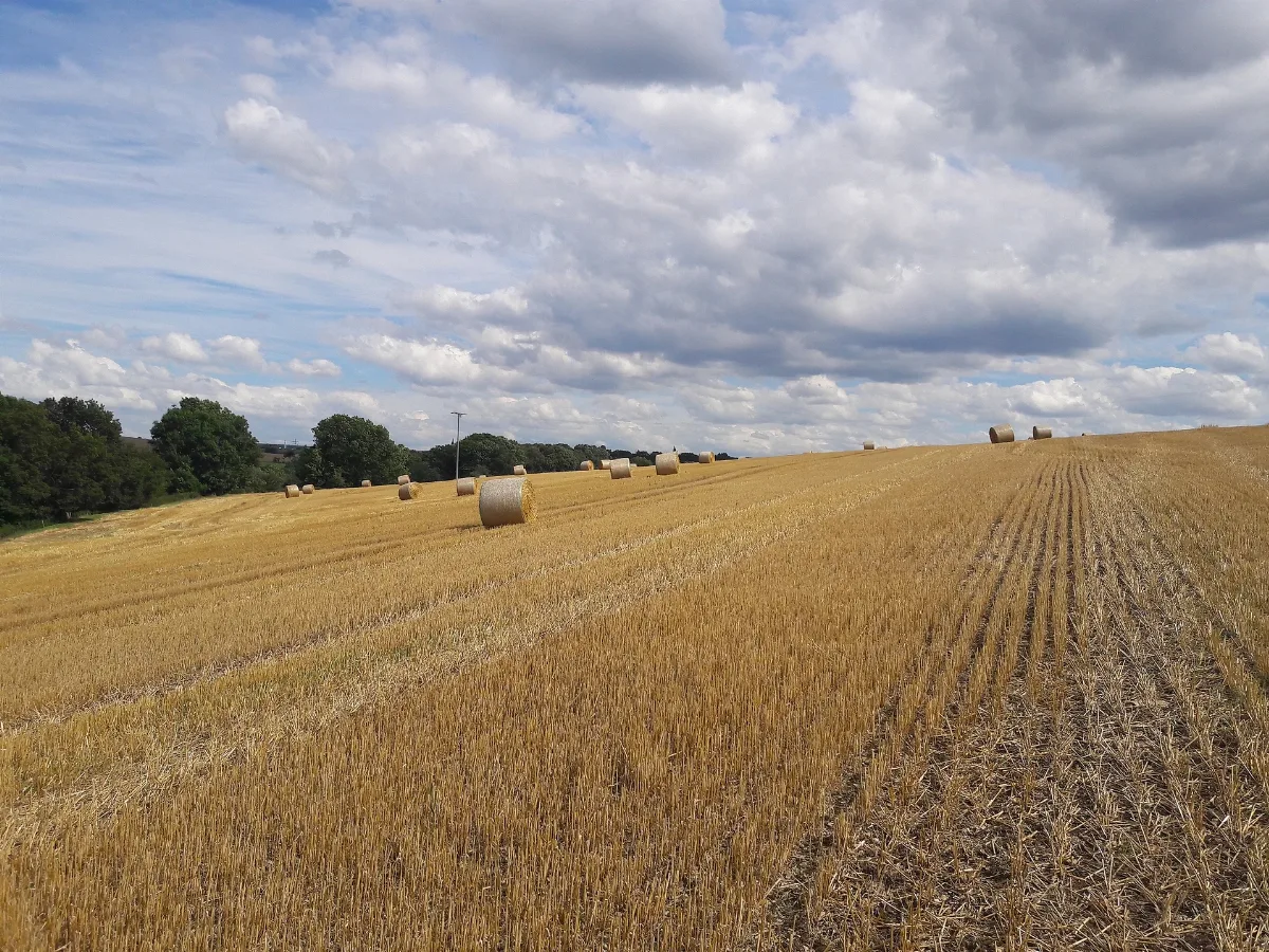 Feld Graitschen, Bürgel 2