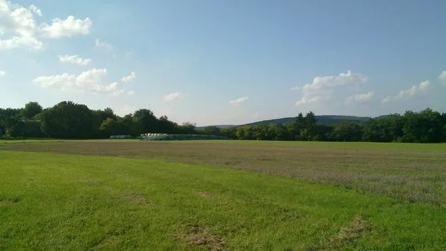 Felder, Wald, Dazwischen Silage Geo.hlipp.de 20923