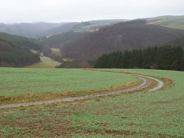 Feldweg Nahe Rodershausen (Farm Track Near Rodershausen) Geo.hlipp.de 23407