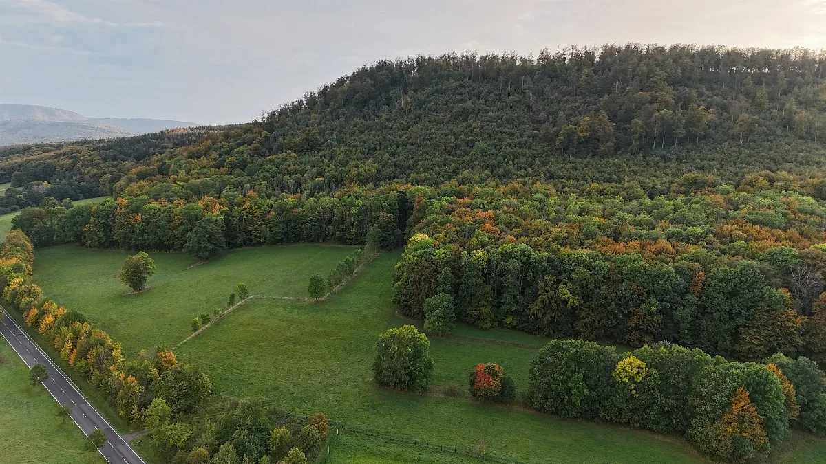Ffh Gebiet Wartberge Bei Seebach Dji 20231013173433 0033 D