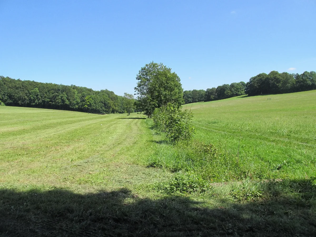 Finkensohl, 1, Eigenrieden, Mühlhausen, Unstrut Hainich Kreis