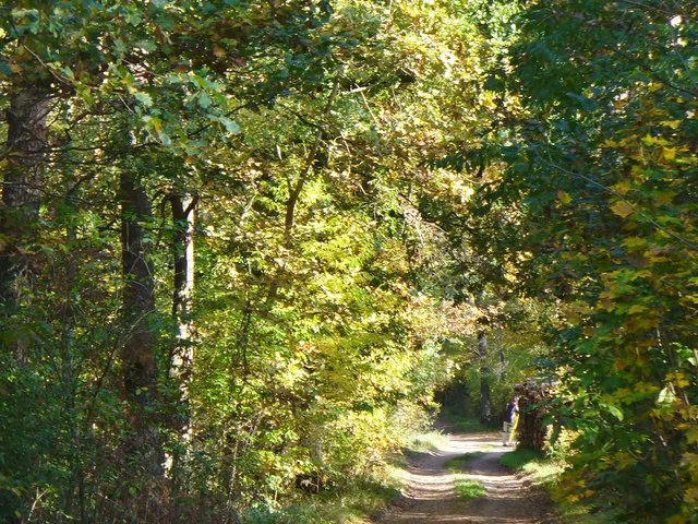 Finkenstein Weg Zur Erholung Geo.hlipp.de 43364