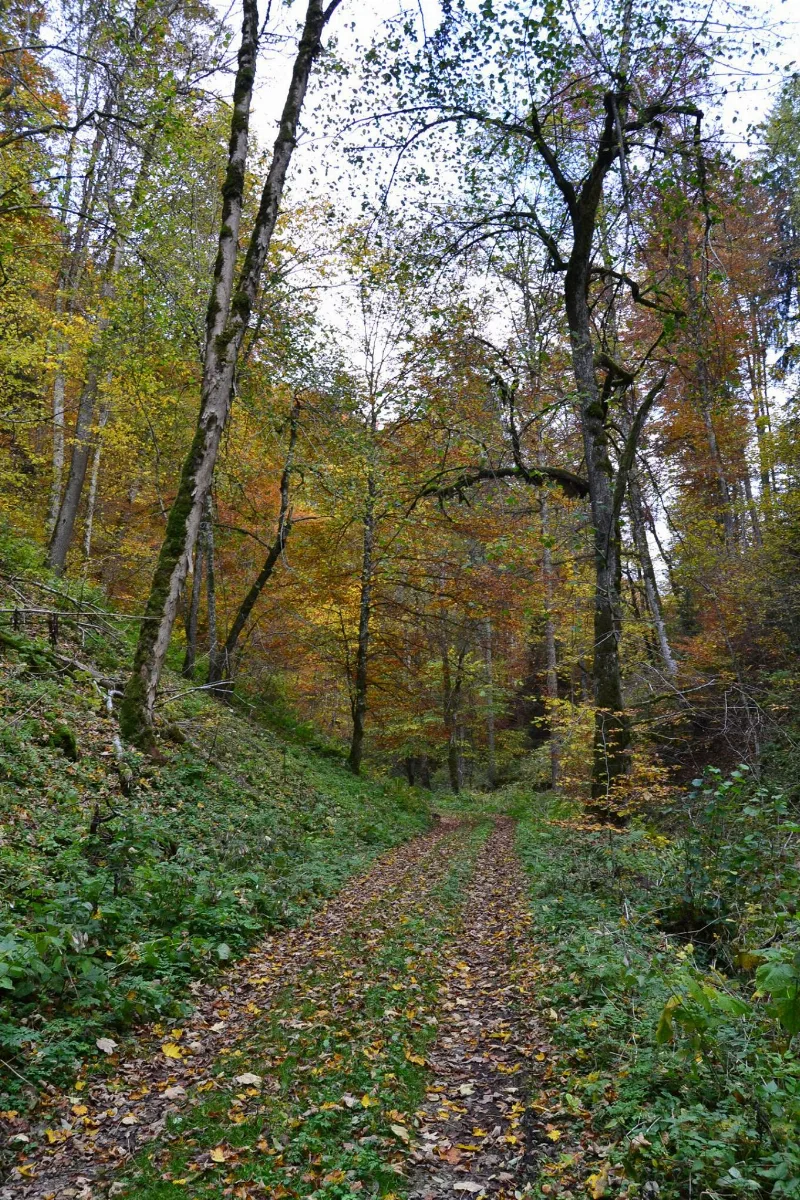 Finstertal Path