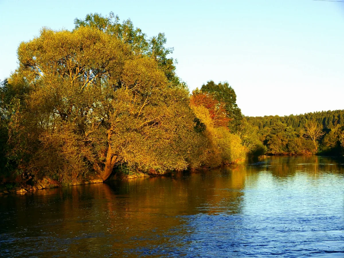 First Autumn Day Panoramio