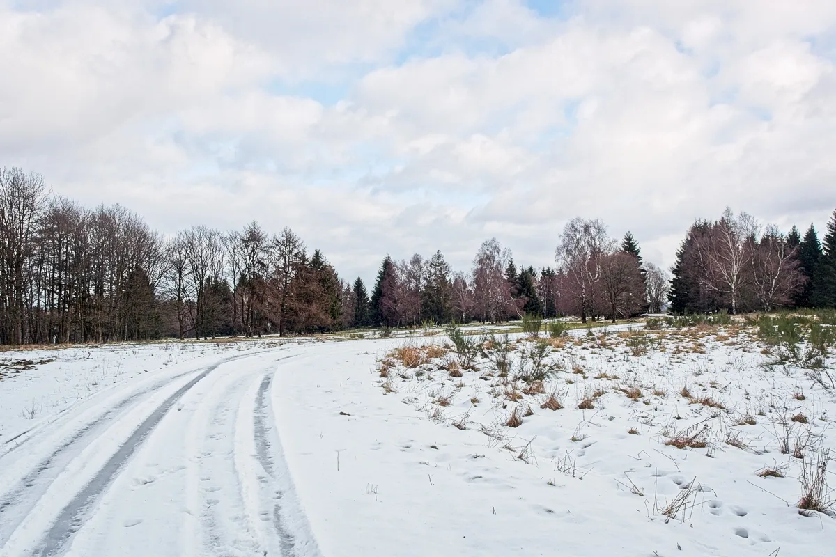 Friedewalder Höhe