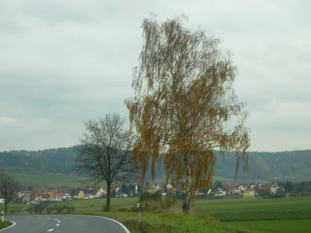 Fuldatal Bei Heinebach Geo.hlipp.de 6590