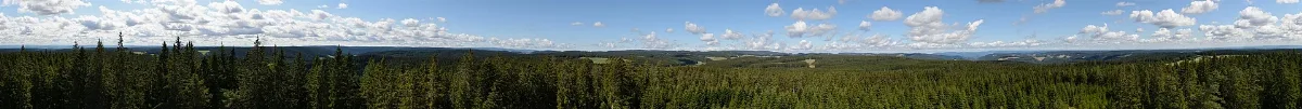Furtwangen Stöcklewaldturm Panorama 01