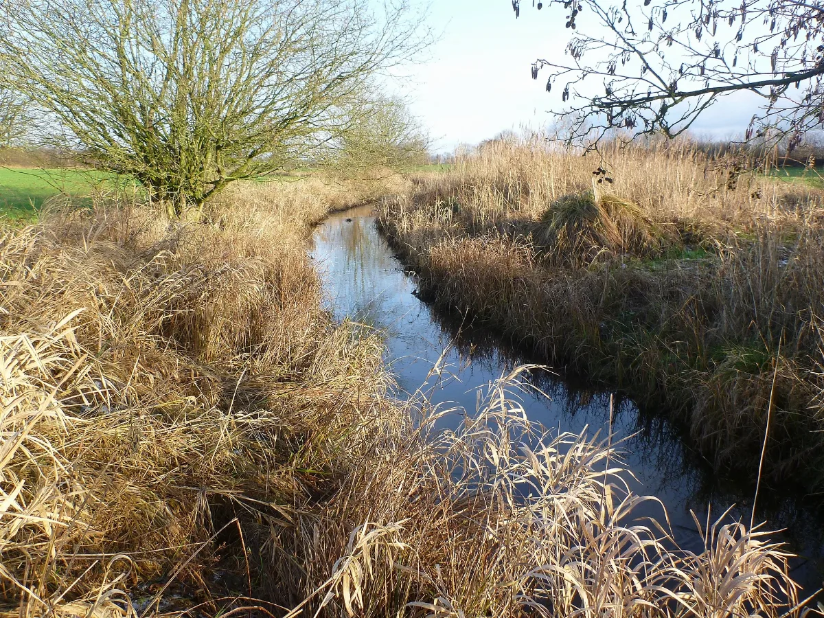 Geilenbek 1