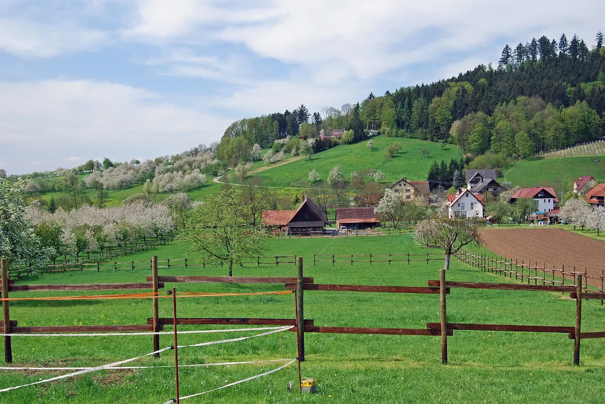Gengenbach Reichenbach