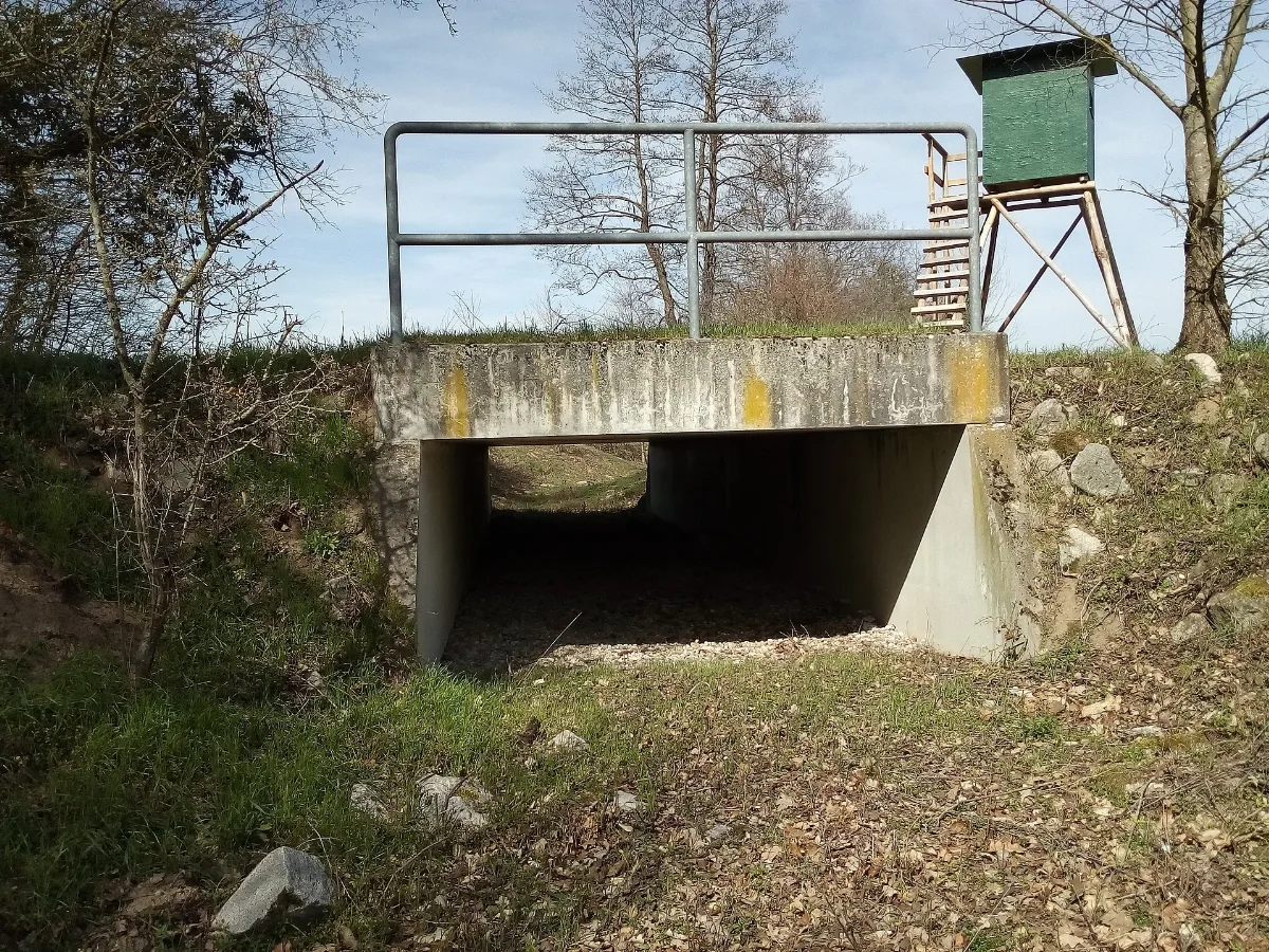 Gießgraben (Kriegbach), Durchlass Bei Kirrlach
