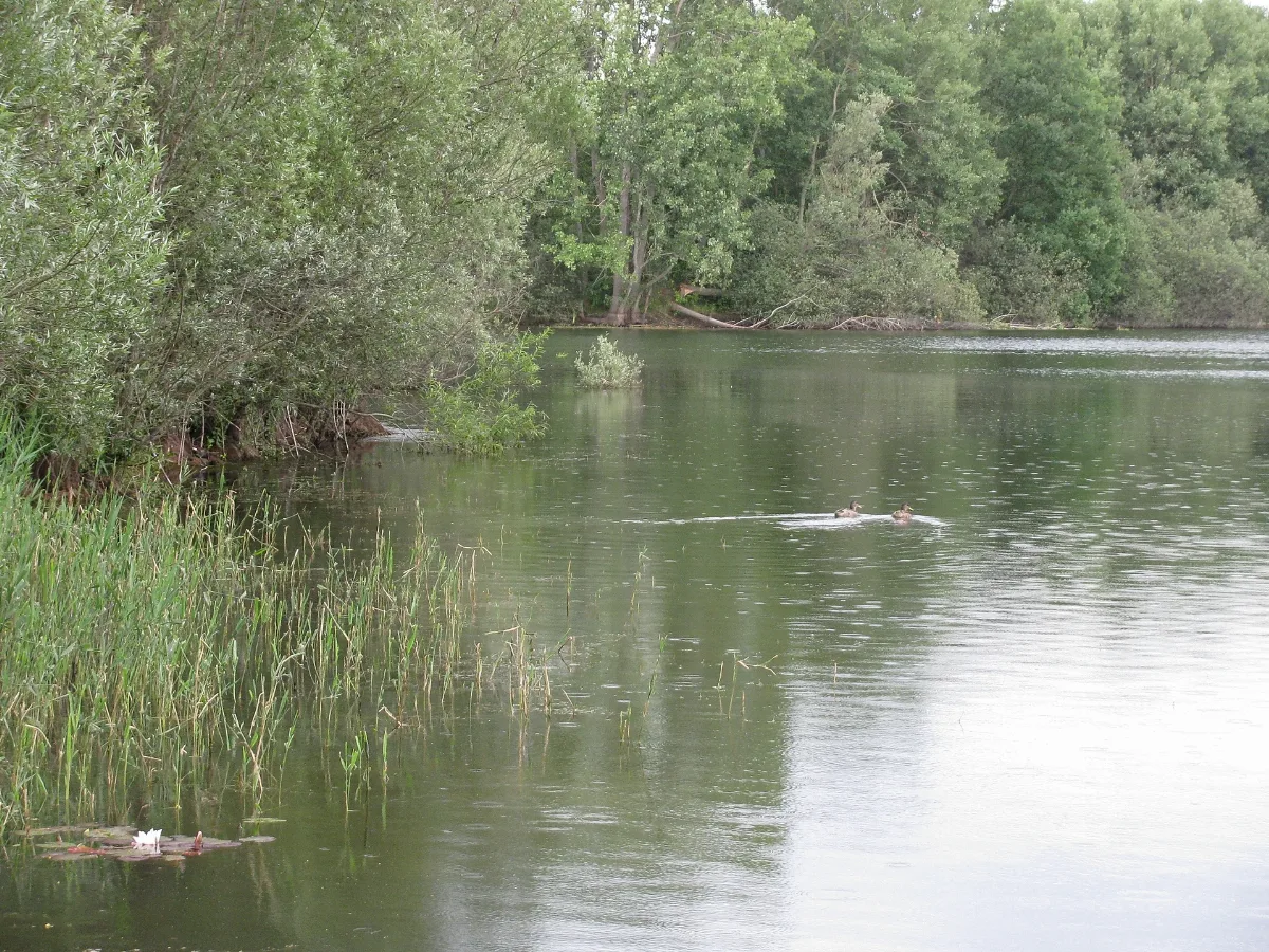 Glb H S 00008 Laher Teich Laher Wald, 3, Lahe, Hannover