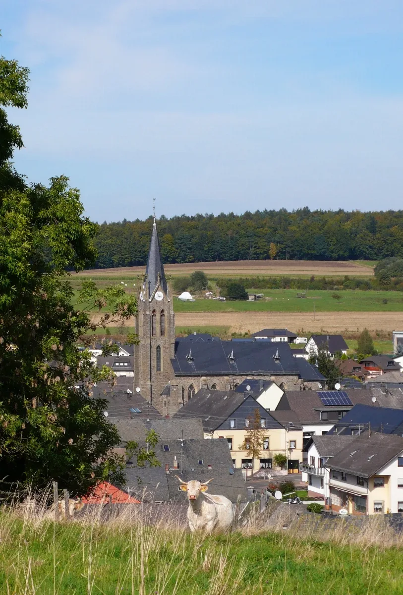 Gonzerath1