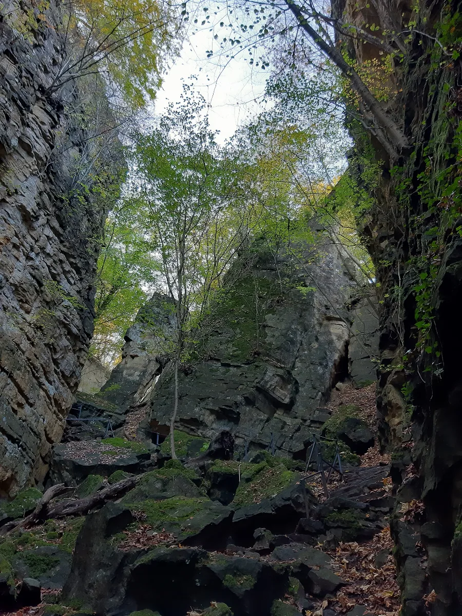 Gorge Du Loup (Echternach) 07