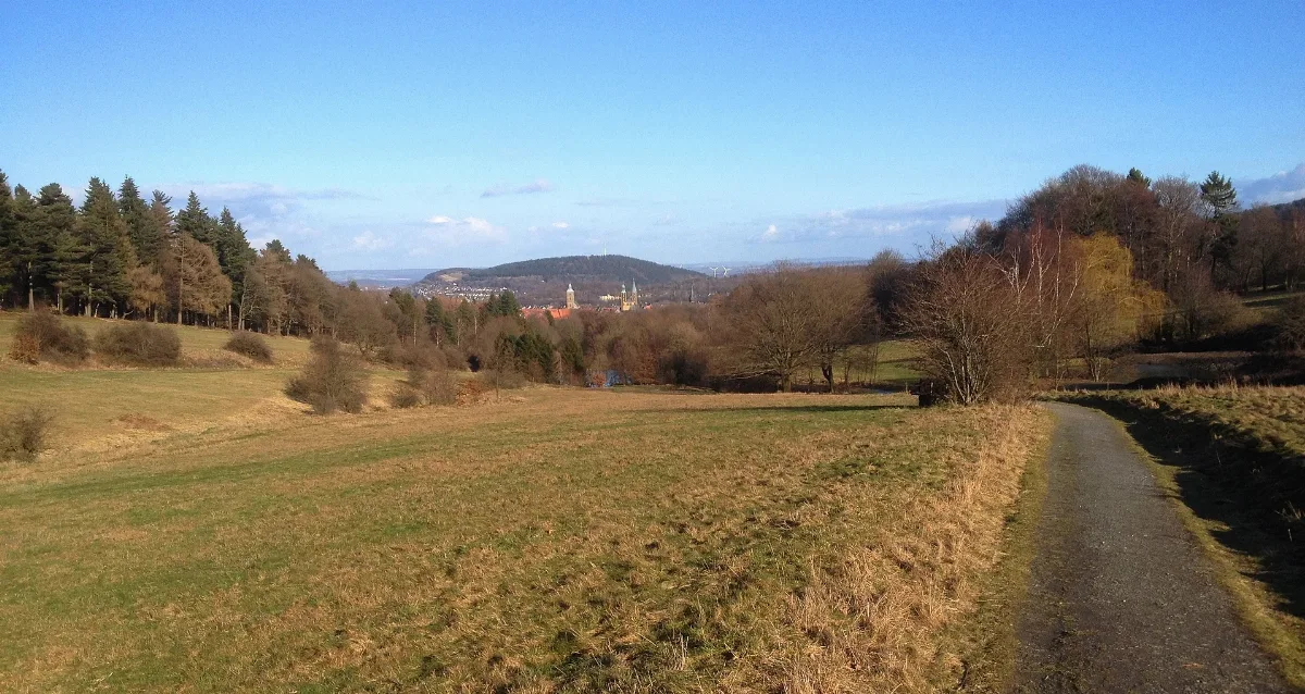 Goslar And Sudmerberg, View From Steinberg