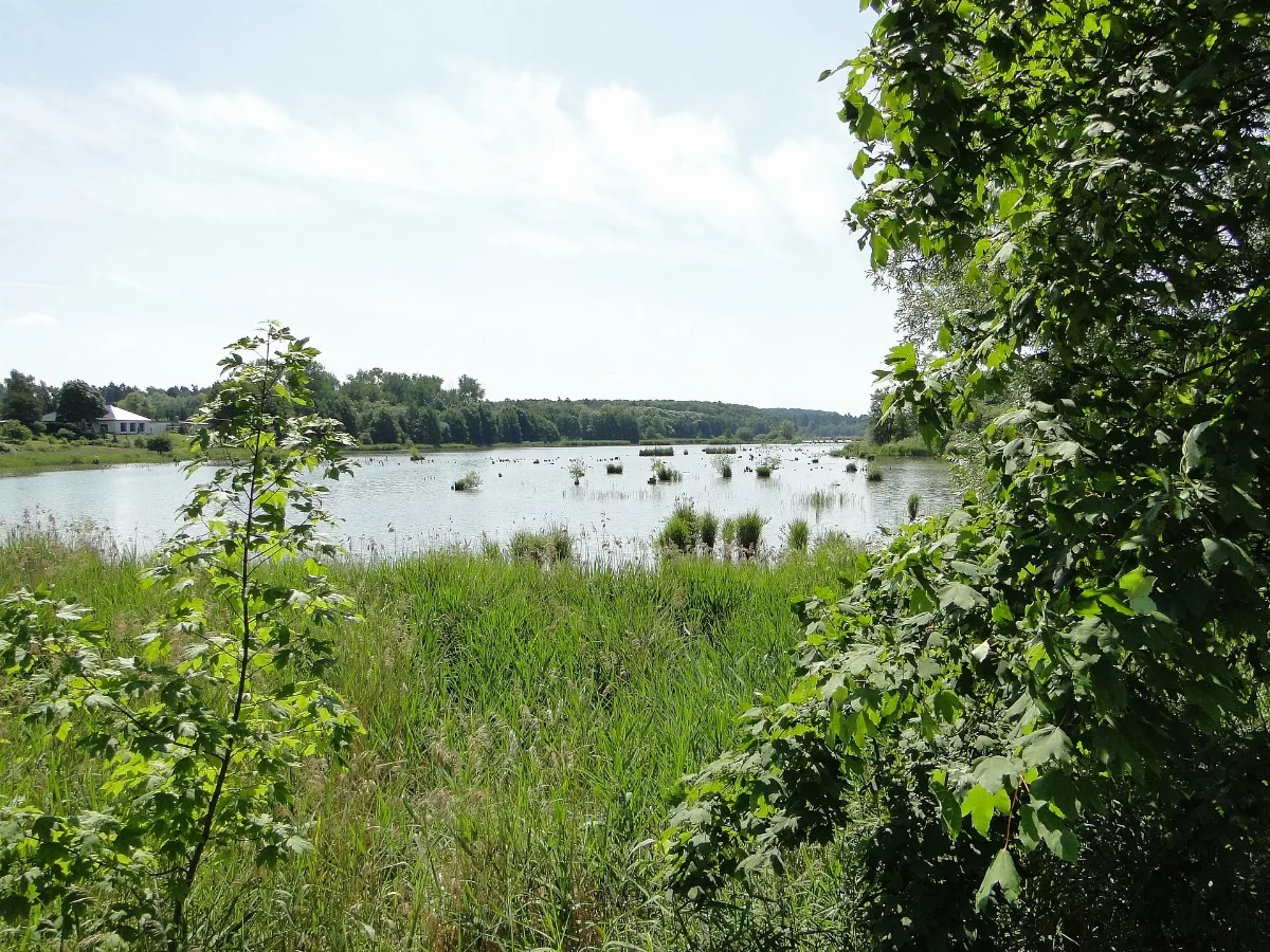 Gottmannsfoerde Rehmsee 2010 06 29 006