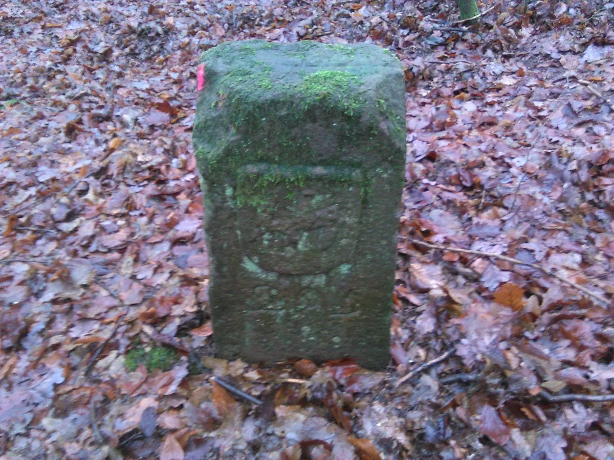 Grenzenassausaarbrücken Kerpenillingen 295A
